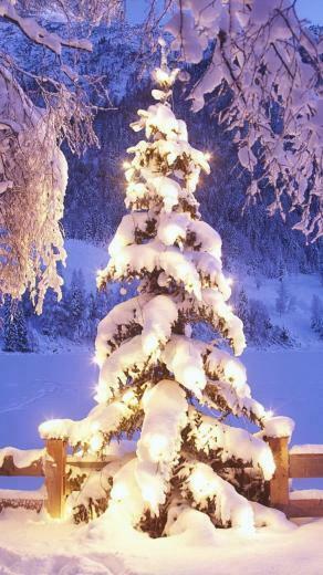 Christmas Tree Decoration iPhone Wallpaper HD