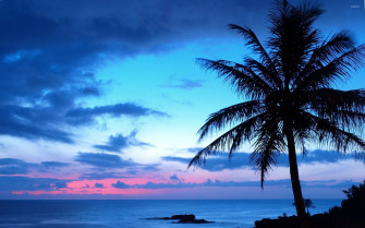 Beach Sunset Wallpaper On