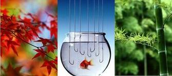 In Wallpaper For Samsung Corby Set Mobile Apps