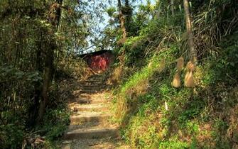 HD Wallpaper Hiking Trails Forests Nature