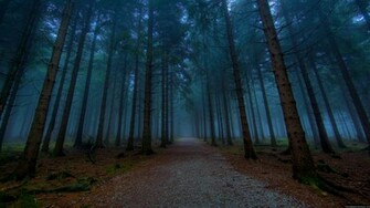 Wallpaper HD Widescreen Computer Desktop