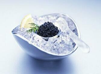 Black Caviar Wallpaper HD With Image Indulgent Food Raw