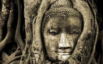Buddha Wallpaper Landscape