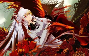 Wallpaper Girl Flowers Anime Art Phoenix Fujiwara No Mokou