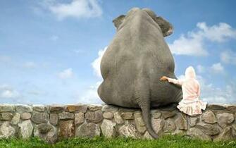 Elephant Computer Wallpaper Desktop Background Id