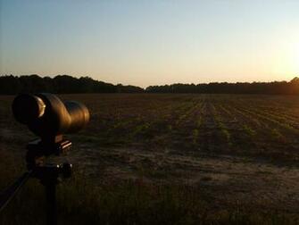 Of Bowhunting And Hunting Desktop Wallpaper Deer Background Turkey