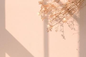 Beige Sparkle Dried Flower Image Background