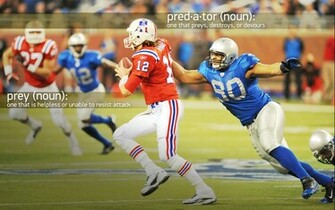 Suh Wallpaper
