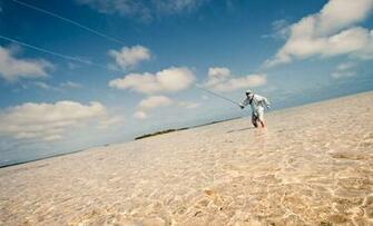 Ways To Be A Better Fly Fisherman Wide Open Spaces