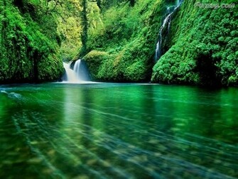 Nature Wallpaper Cool For