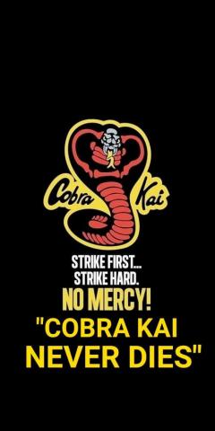Cobra Kai Never Dies Karate Kid