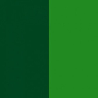 Light Forest Green Background