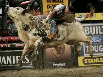 Bull Riding Olympicsports