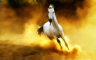 Beautiful Wallpaper Wild Horses