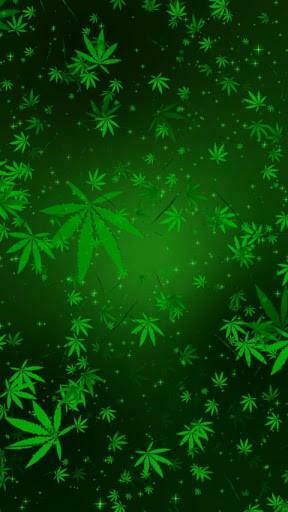 Bigger Marijuana Live Wallpaper For Android Screenshot
