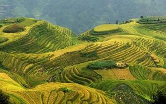 HD Wallpaper Desktop China Country
