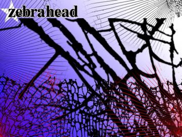 Zebrahead Wallpaper By Mo