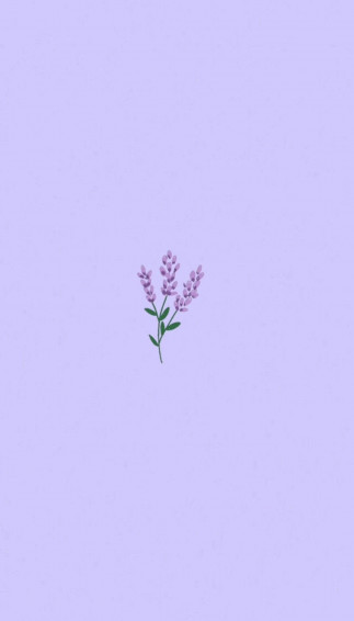 Lavender Flowers Aesthetic Art Wallpaper
