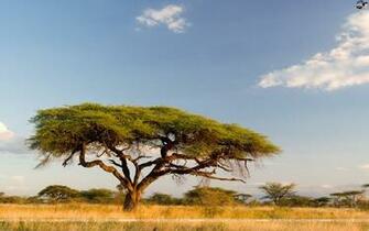 Nature Scenries HD Wallpaper Urdu Poetry