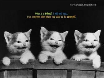Friendship Wallpaper