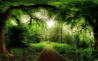 Forest Computer Wallpaper Desktop Background Id