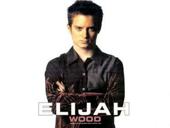 Elijah Wood Wallpaper X Net