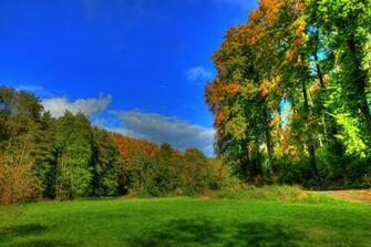Image Germany Hessen Nature Summer Grass Seasons