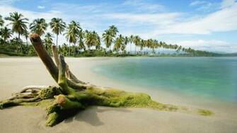 Wallpaper Image Photos Pour HD 1080p Nature W12 Fr