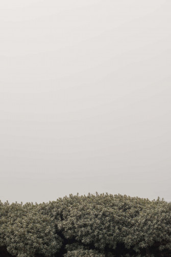 Aesthetic Minimalist iPhone Wallpaper