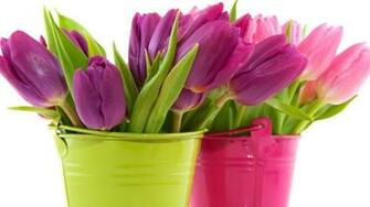 Green Vases Wallpaper Odd