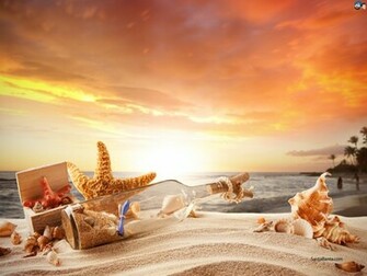 Seashells Wallpaper