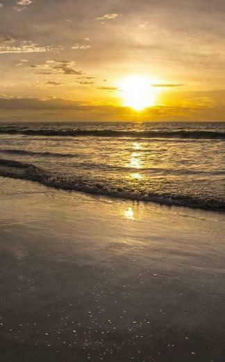 Fantasy Sunset Live Wallpaper Android Apps On Google Play