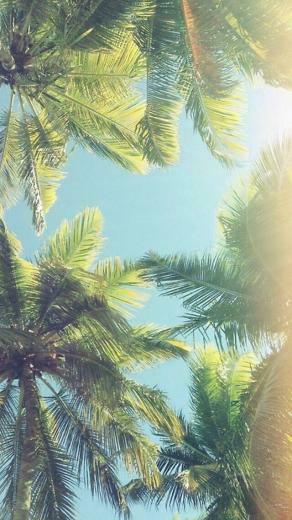 Mobile Phone Wallpaper Dump Give Your A Makeover