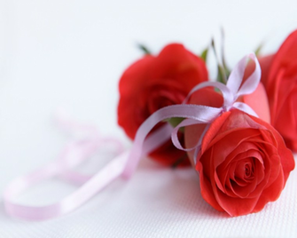 Rose Flower Desktop Wallpaper