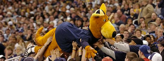 Zippy S Home The University Of Akron