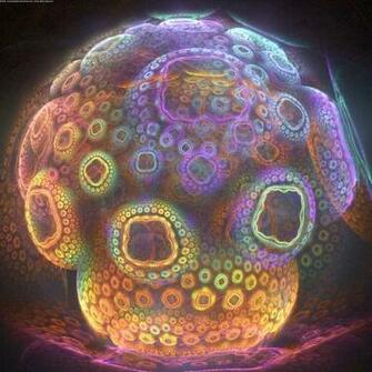 Psychedelic Mushroom Wallpaper
