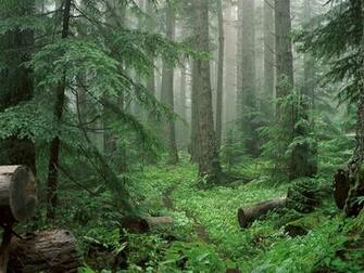 Amazing Nature Wallpaper National Geographic
