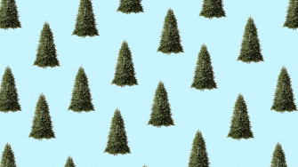 Cyber Monday Christmas Tree Deals Deck Your Halls For Less