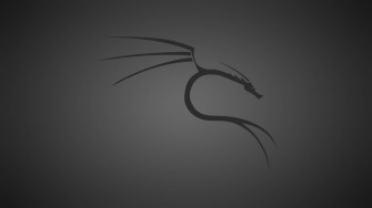 Kali Linux Wallpaper
