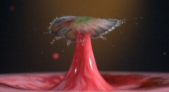 Slow Motion Drop HD Wallpaper Nice