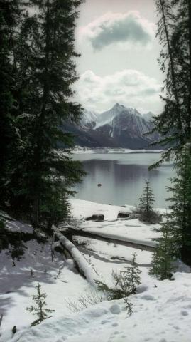 Winter Wallpaper iPhone Net
