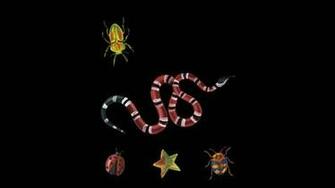 Gucci Official Site United States