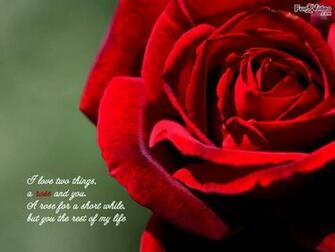 To Say I Love You Wallpaper Show And Saying