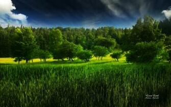 Green Land By Andreaandrade Customization Wallpaper HDtv Widescreen