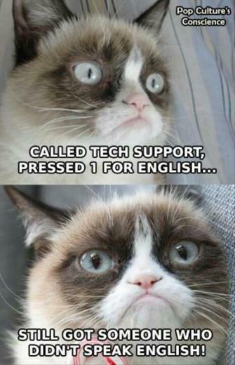 Funny Cats Top Most Funniest Grumpy Cat Quotes Jpg