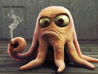 Wallpaper Best Funny