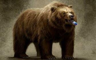 Animals Bears Glasses Sunglasses Wallpaper Hq