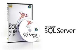 Microsoft Sql Server Foto Artis Candydoll