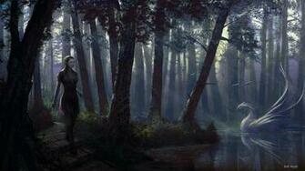 Category Nature HD Wallpaper Subcategory Forests