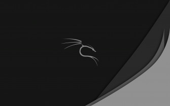 Kali Linux Wallpaper